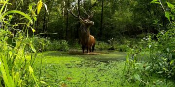 Wakacje na łonie natury. Jak obserwować świat przyrody z dziećmi, radzi przyrodnik Marcin Kostrzyński