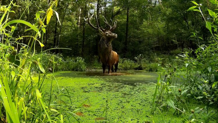 Wakacje na łonie natury. Jak obserwować świat przyrody z dziećmi, radzi przyrodnik Marcin Kostrzyński