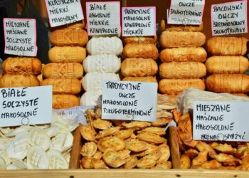 Mleko prosto od… owcy. Dietetyk o zaletach nabiału owczego