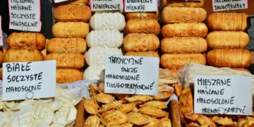 Mleko prosto od… owcy. Dietetyk o zaletach nabiału owczego