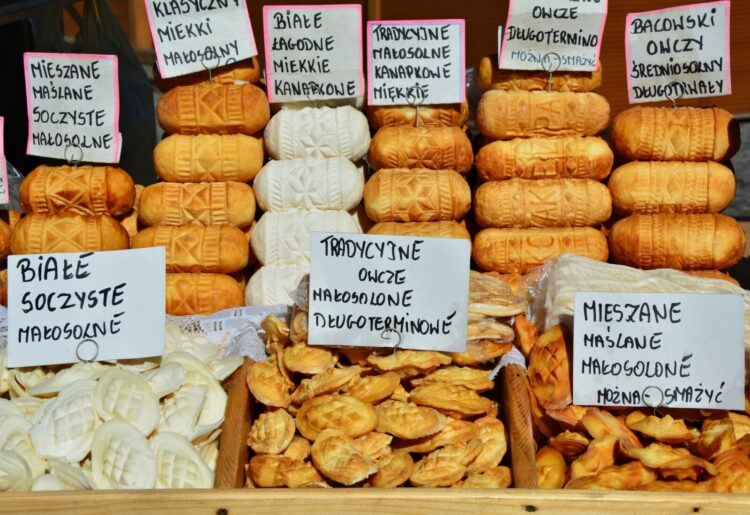 Mleko prosto od… owcy. Dietetyk o zaletach nabiału owczego