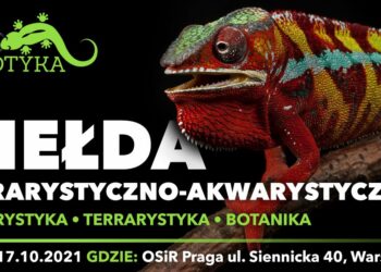 ZOOegzotyka – Targi Egzotyczne Warszawa 2021