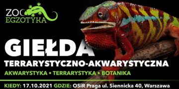 ZOOegzotyka – Targi Egzotyczne Warszawa 2021