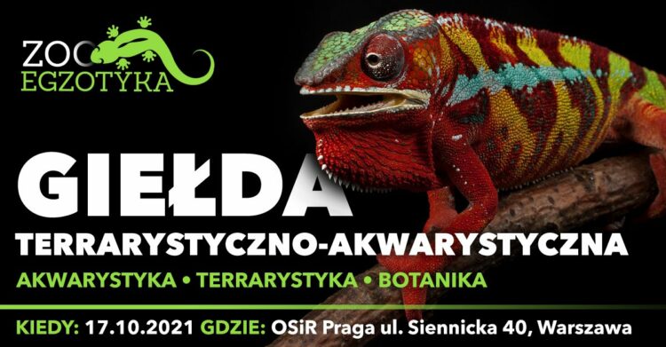 ZOOegzotyka – Targi Egzotyczne Warszawa 2021