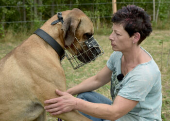 „Jak czują zwierzęta?” – cykl dokumentalny w ARTE.tv