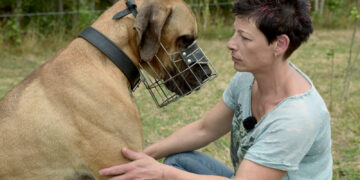 „Jak czują zwierzęta?” – cykl dokumentalny w ARTE.tv