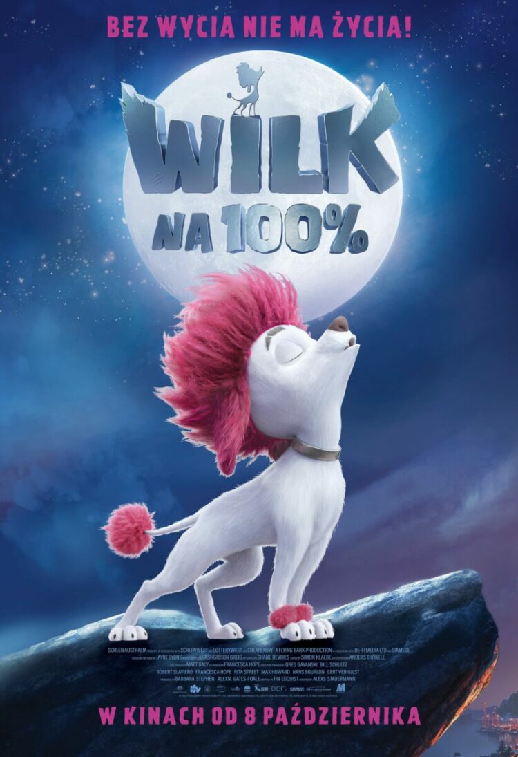 WILK na 100%