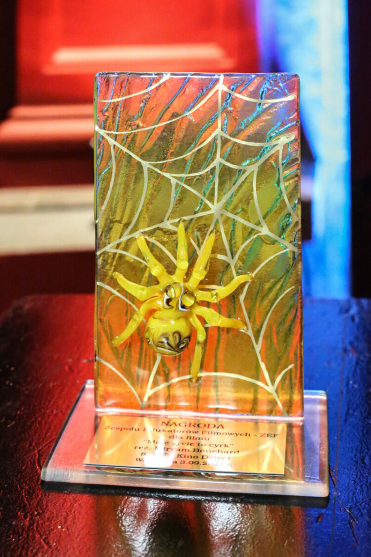 ZEF Filmowe Okno na Europę – jeden z 15 projektów wyróżnionych w ramach programu Collaborate to Innovate sieci Europa Cinemas