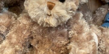 PGE przekaże terapeutyczne misie dla dzieci z Ukrainy