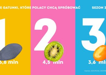 Jagoda kamczacka, minikiwi, rokitnik – trzy najbardziej oczekiwane superowoce 2022 roku