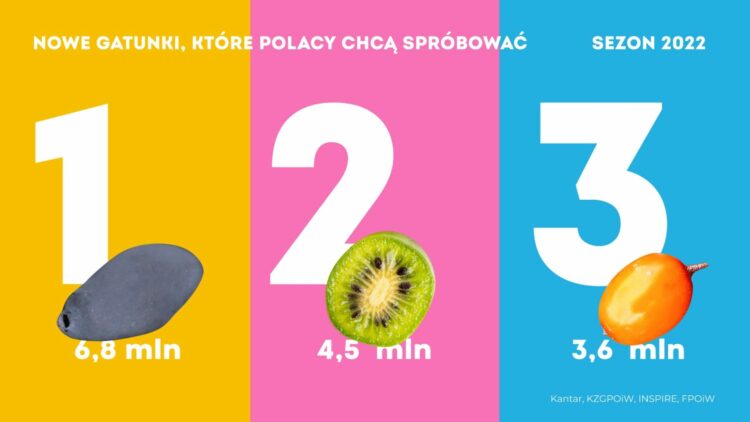 Jagoda kamczacka, minikiwi, rokitnik – trzy najbardziej oczekiwane superowoce 2022 roku