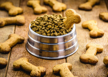 Rynek karmy dla zwierząt – działania Prezesa UOKiK