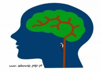 Tropy pokazujące, skąd i jak sieje się zniszczenie mózgu w psychozie