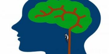 Tropy pokazujące, skąd i jak sieje się zniszczenie mózgu w psychozie