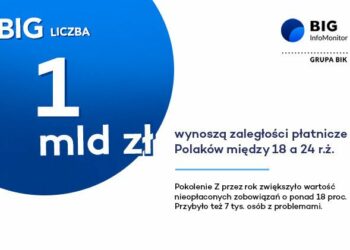 BIG Liczba: 1 mld zł zaległości młodego pokolenia