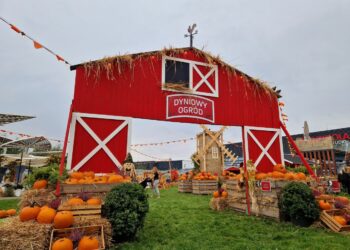 W Galerii Północnej można obejrzeć już amerykański „Dyniowy ogród”