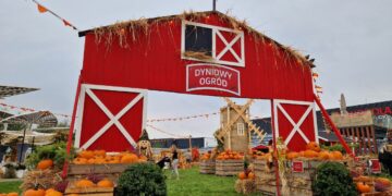 W Galerii Północnej można obejrzeć już amerykański „Dyniowy ogród”